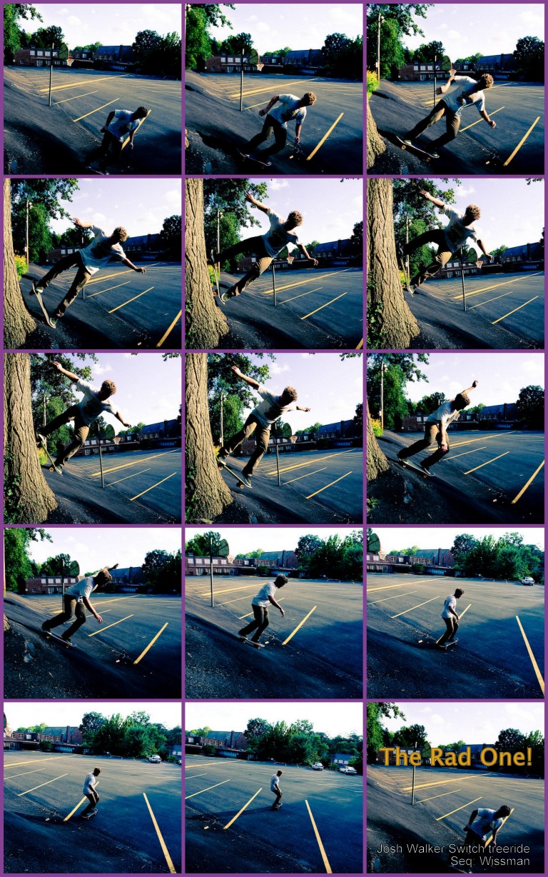 switchtree