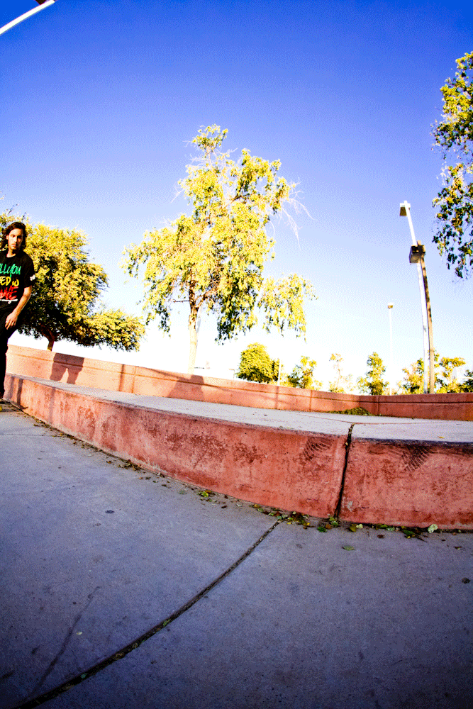 AlexMeyerHardflipBackTailBigspin