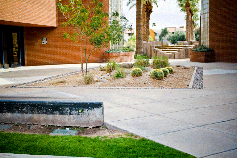 LukeSwitchBoardslide270