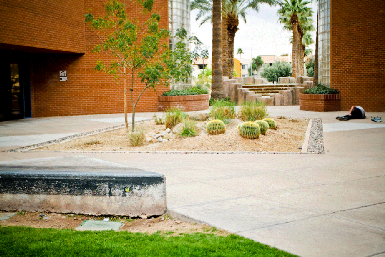 JakeSchwerdtFsTailFs270Shuv2_AndyWissman