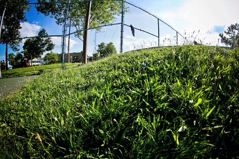 JoshHancockBoneless180_AndyWissman