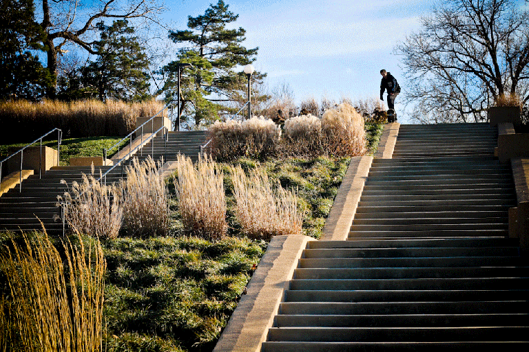 MattDropInForestPark