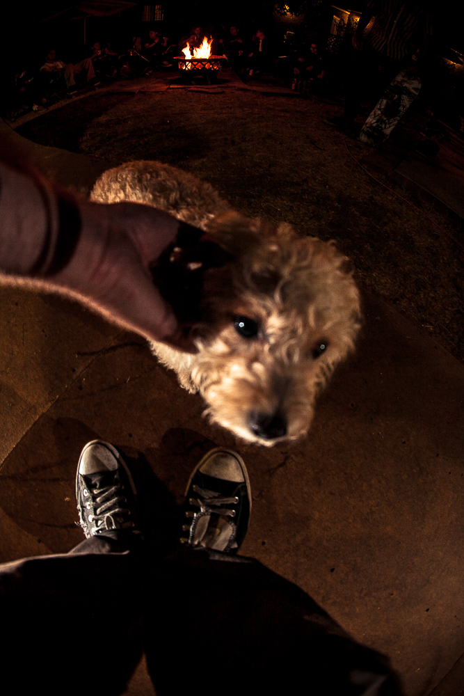 NatesMiniSesh_AndyWissman-9170