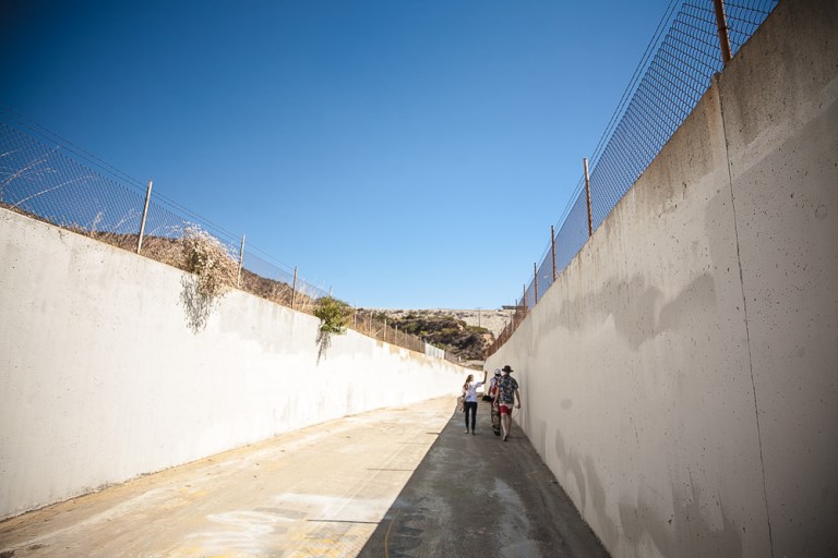 Baldy_AndyWissman-9495