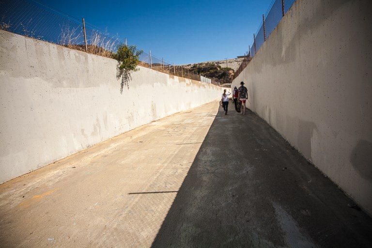 Baldy_AndyWissman-9496