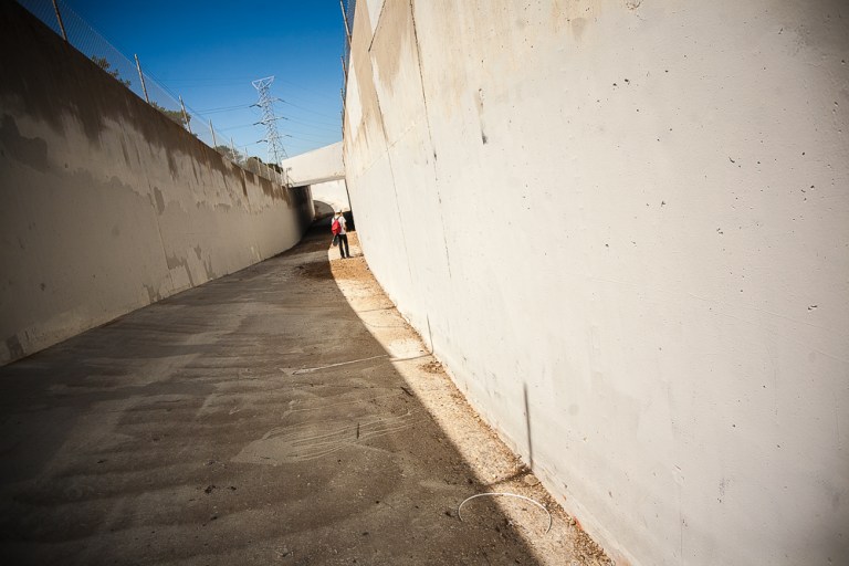 Baldy_AndyWissman-9498